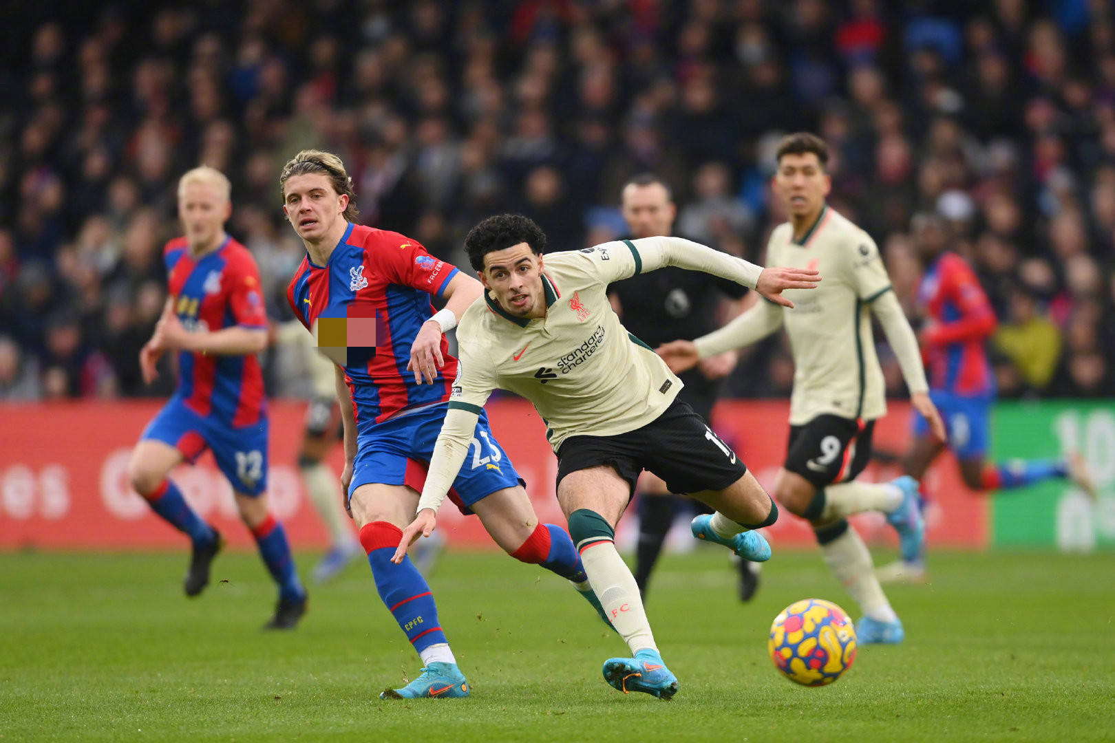 训练恢复机 训练恢复机