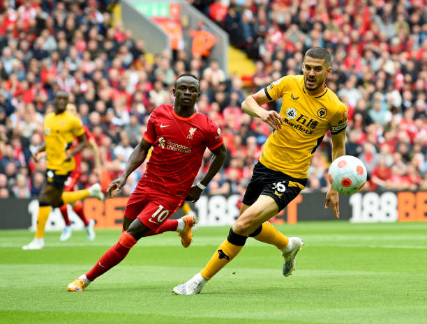 他们的良好 他们的良好